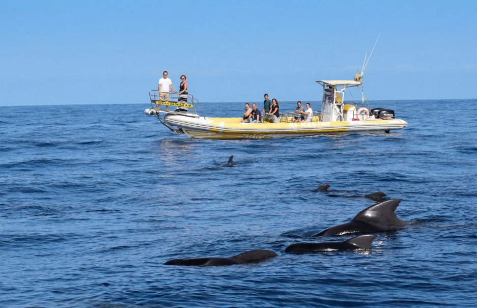 Los Rápidos (2 horas)